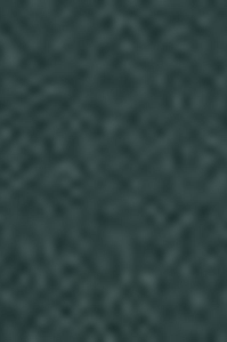 Kadın Yeşil Sweatshirt