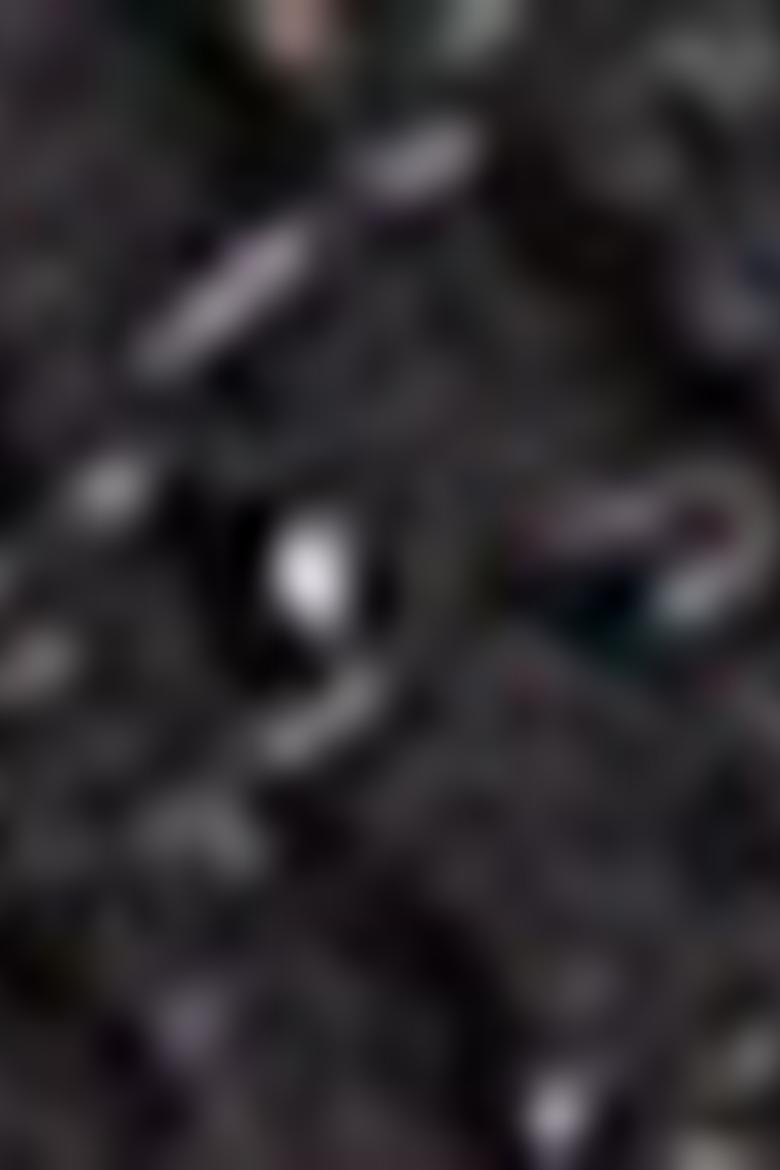 Kadın Lacivert Kemer - 50212154002