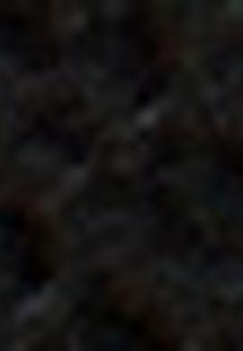 Kadın Siyah Kemer - 50212154026