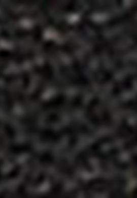 Kadın Siyah Kemer - 50212156001