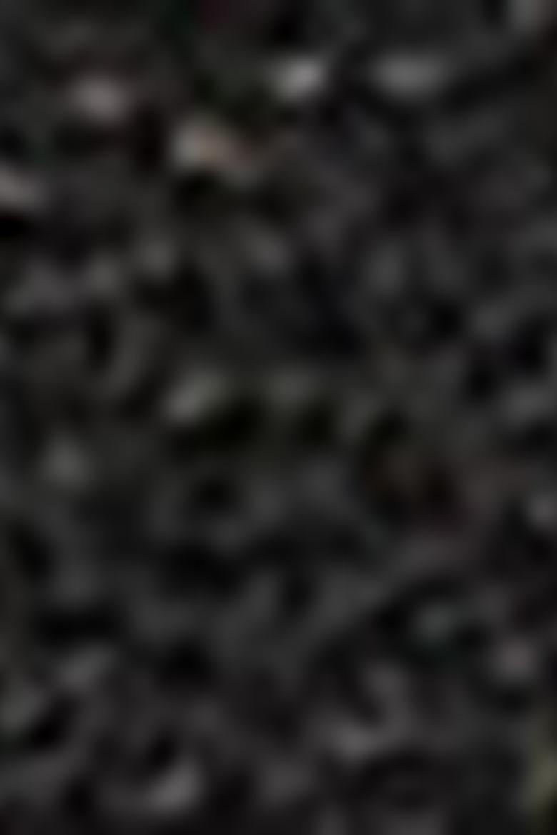 Kadın Siyah Kemer - 50212156001