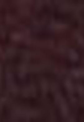 Erkek Çocuk Kırmızı Kemer - 50212160015