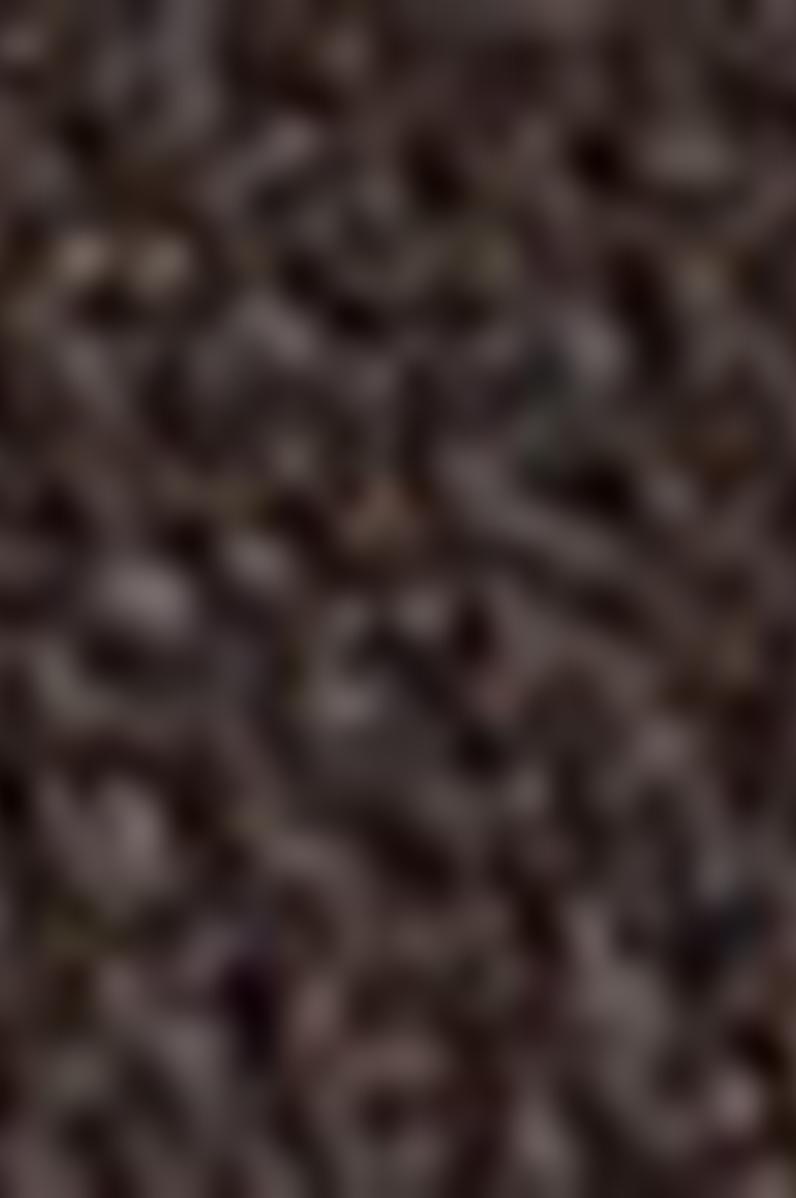 Erkek Kahverengi Kemer