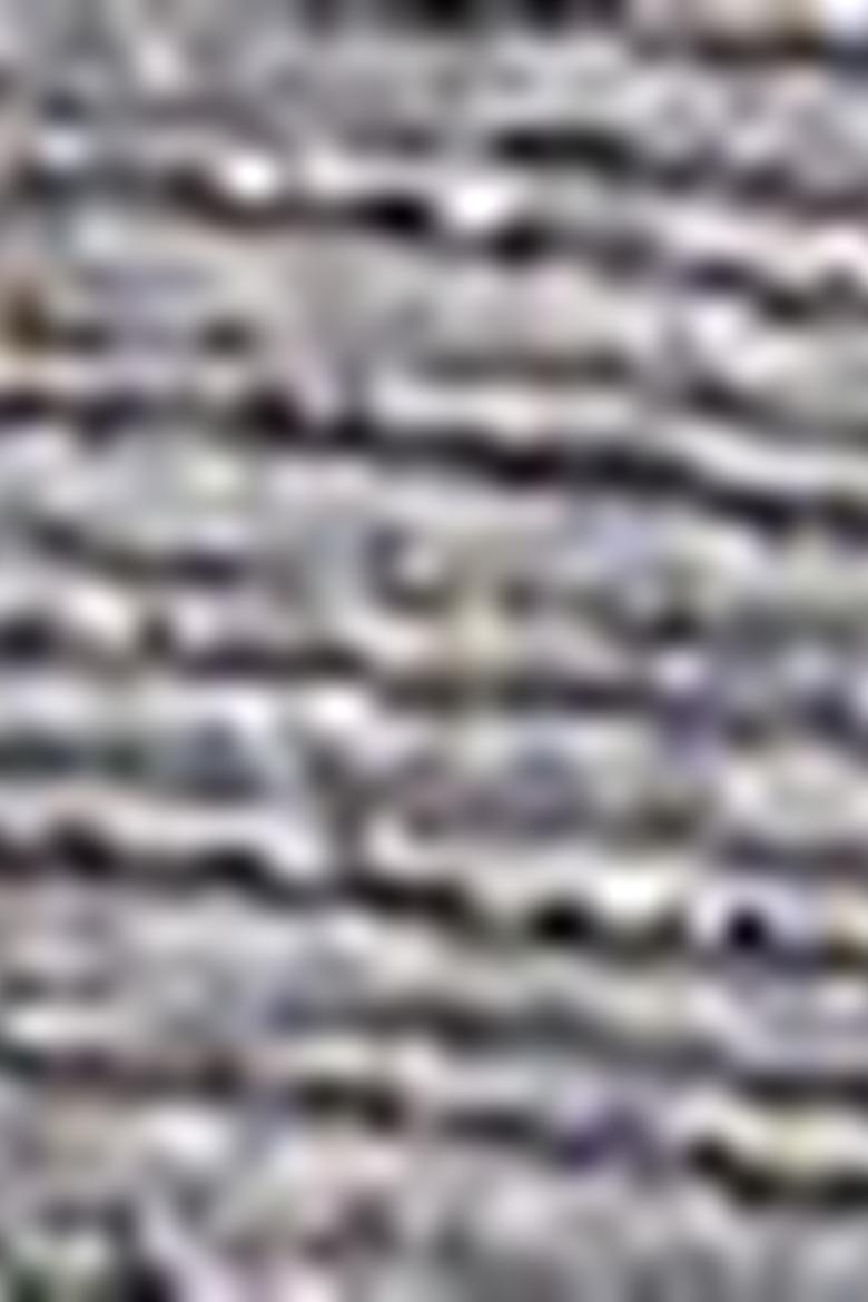 Kadın Gri Sweatshirt - 50207882021