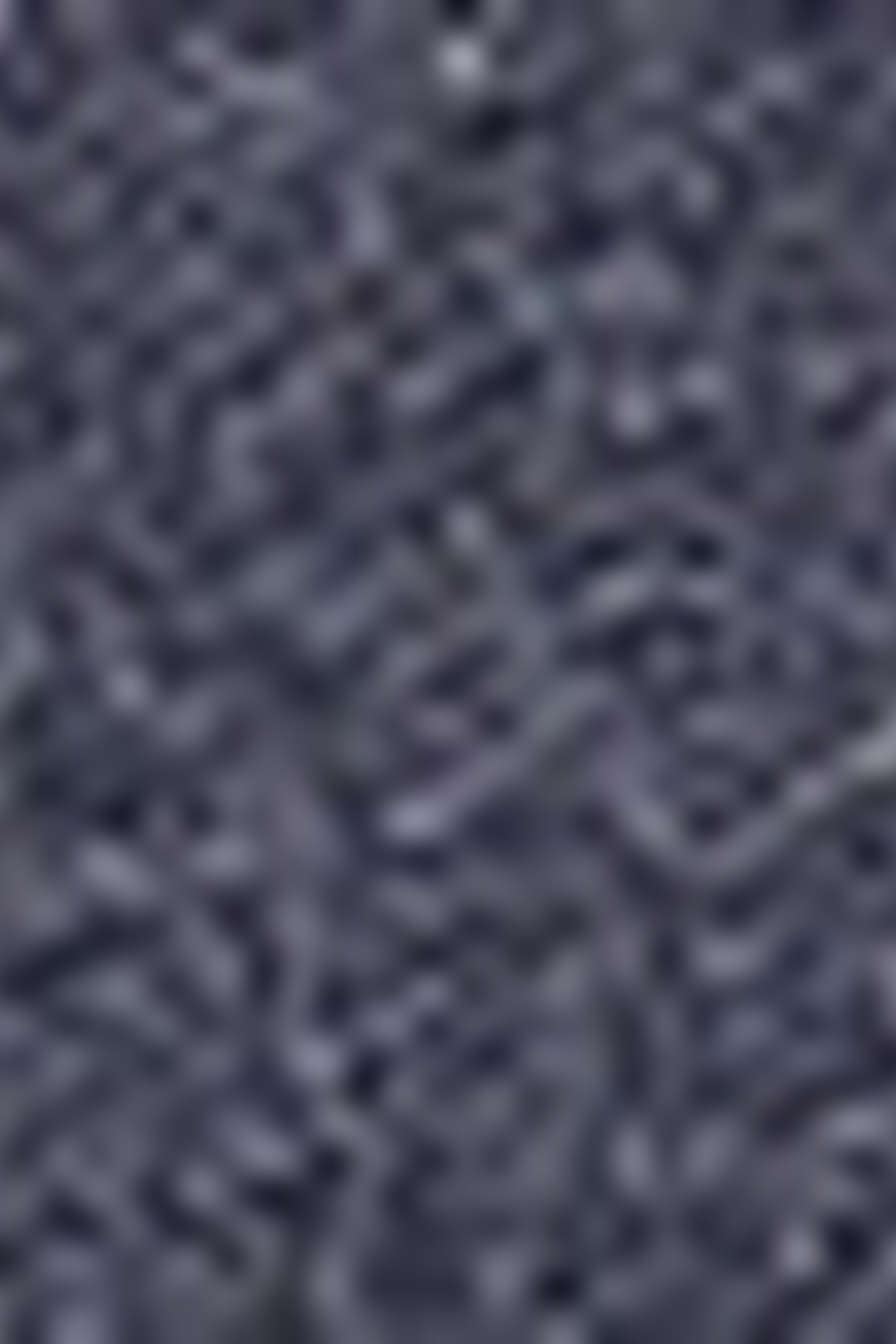 Erkek Lacivert Polo Yaka Sweatshirt