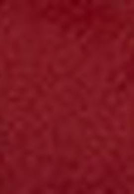 Erkek Çocuk Kırmızı Mont - 50207027020