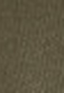 Kadın Haki Sweatshirt - 50206524007