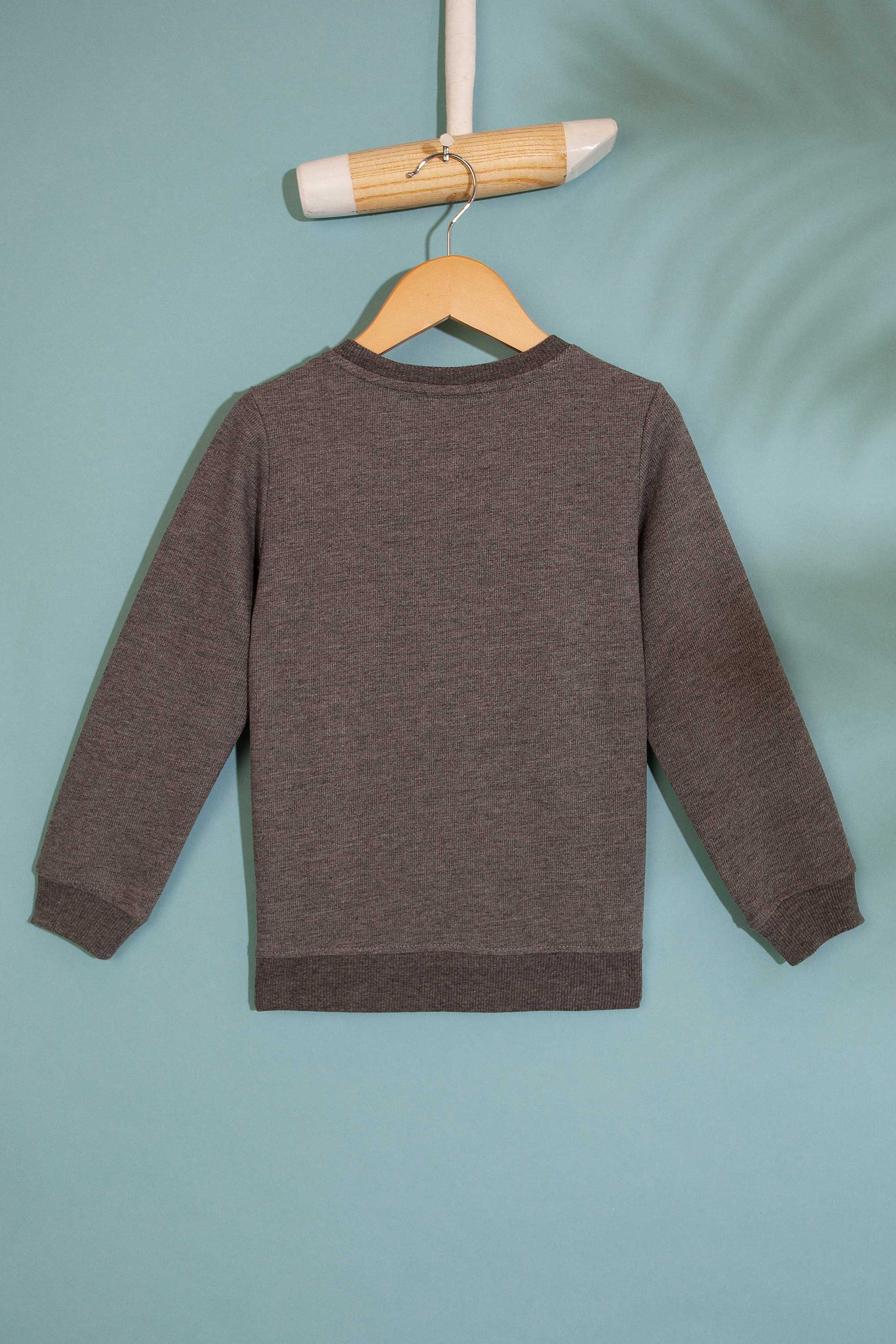 Çocuk Gri Sweatshirt