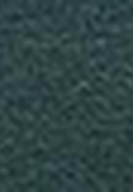 Erkek Koyu Yeşil Kapüşonlu Sweatshirt Basic - 50207318016