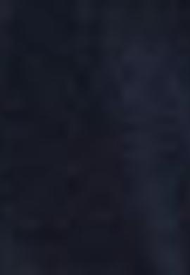 Erkek Çocuk Lacivert Mont - 50207026004