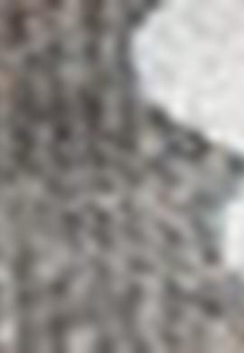 Kız Çocuk Gri Sweatshirt - 50210566001