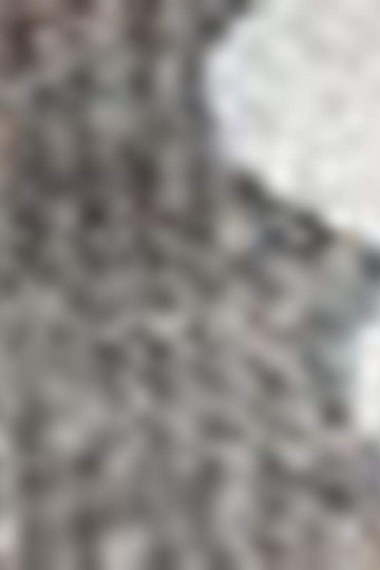 Kız Çocuk Gri Sweatshirt - 50210566001