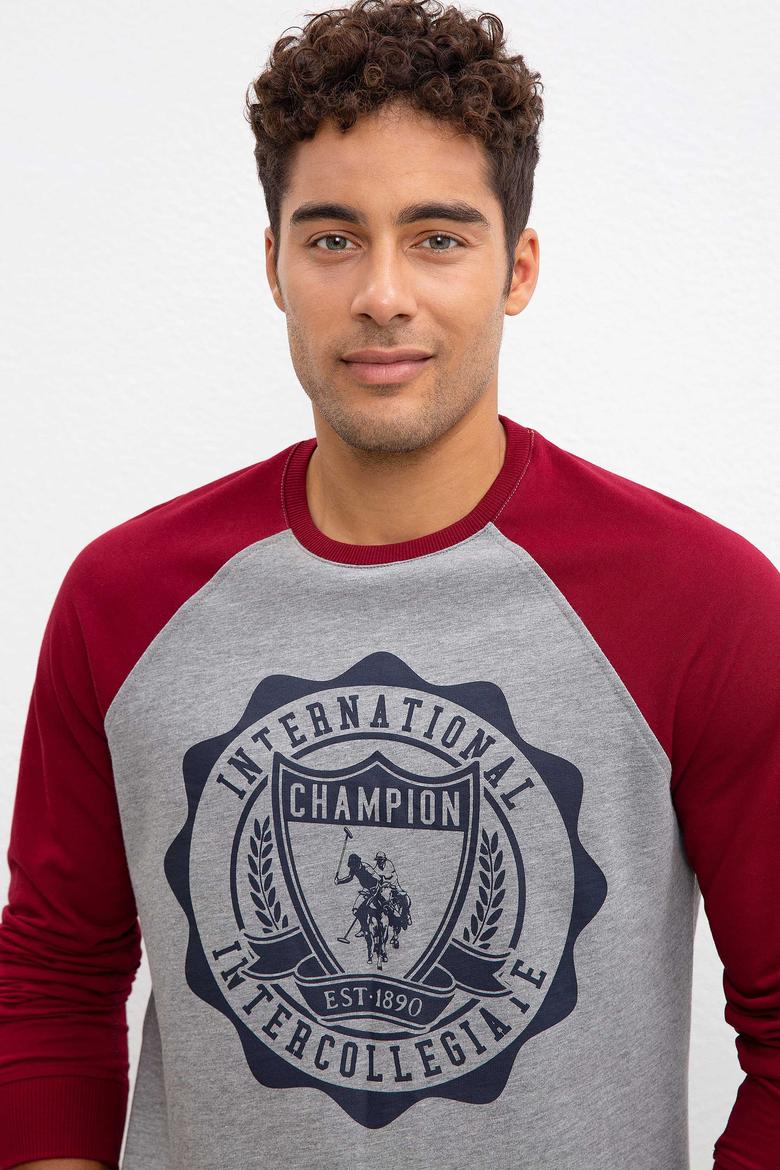 Erkek Gri Melanj Bisiklet Yaka Sweatshirt - 50208657029