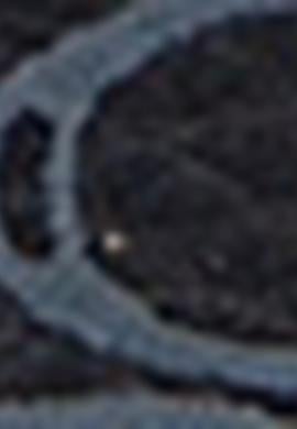 Kadın Lacivert Çanta - 50218293001