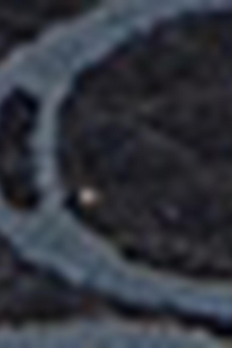 Kadın Lacivert Çanta - 50218293001