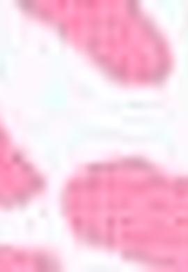 Çocuk Örme Capri Bermuda - 50202254002