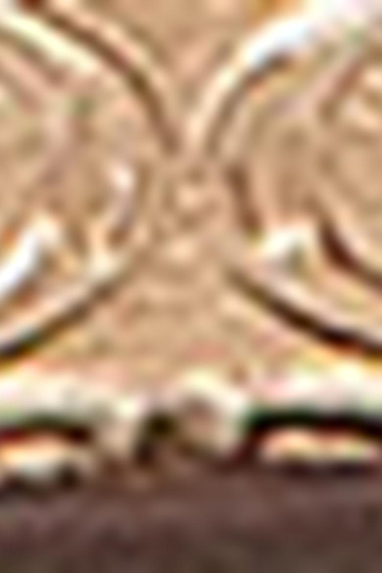 Kadın Sarı Çanta - 50223933004