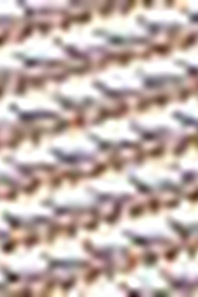 Kadın Gri Çanta - 50223937008