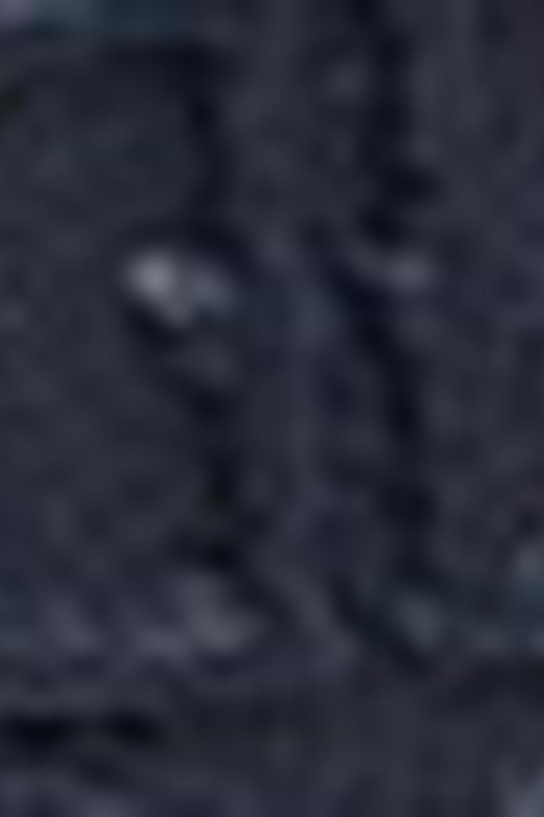 Kadın Lacivert Çanta - 50223941002