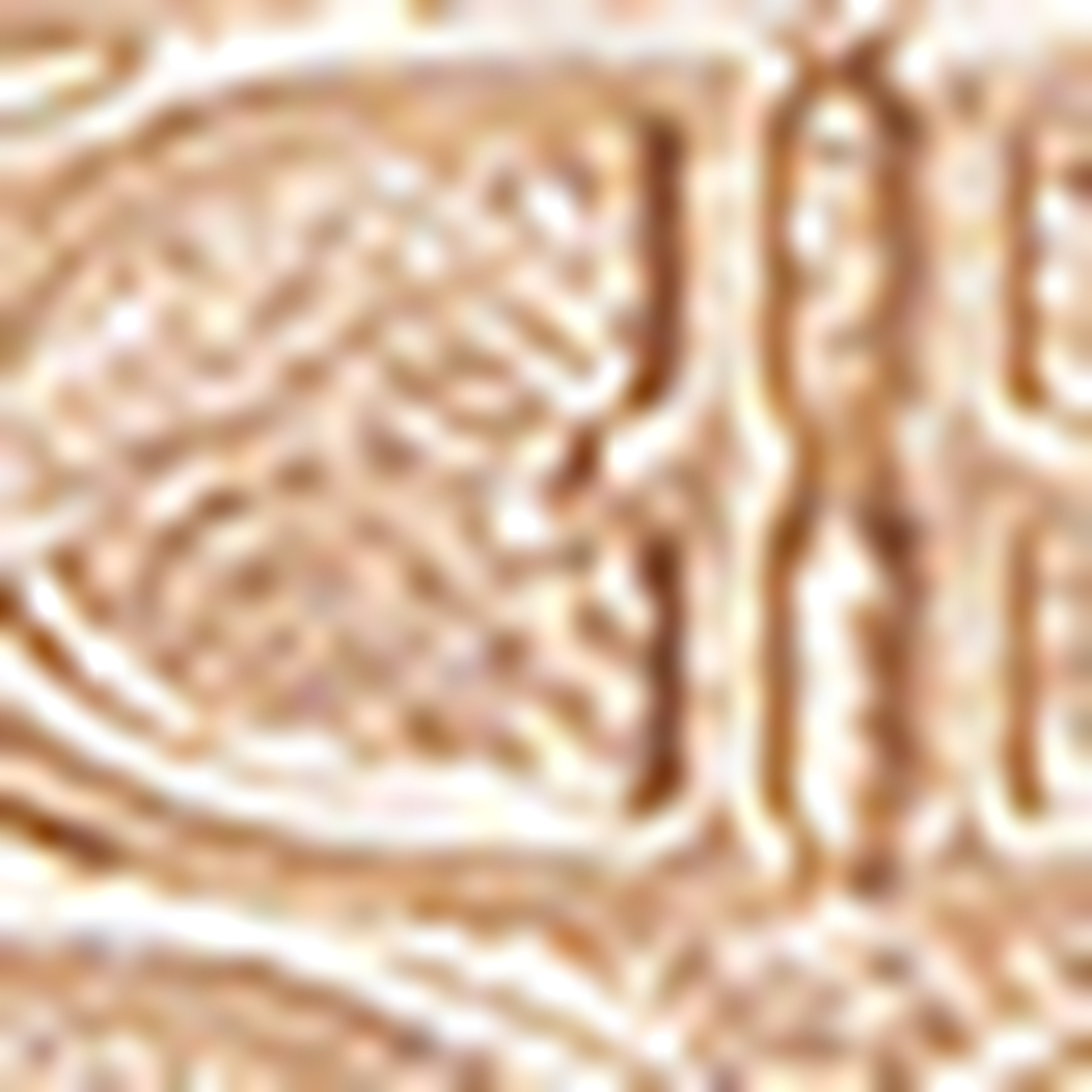 Kadın Sarı Çanta - Image 5