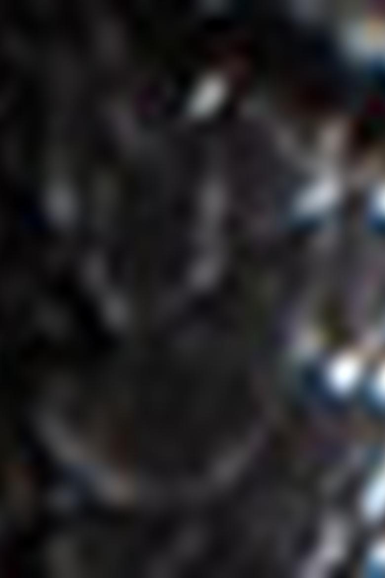 Kadın Gri Çanta - 50223947003