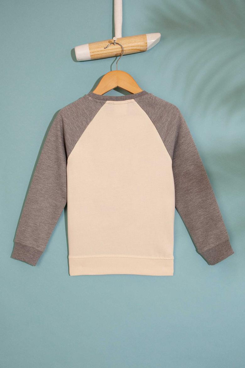 Çocuk Gri Sweatshirt - 50207529001