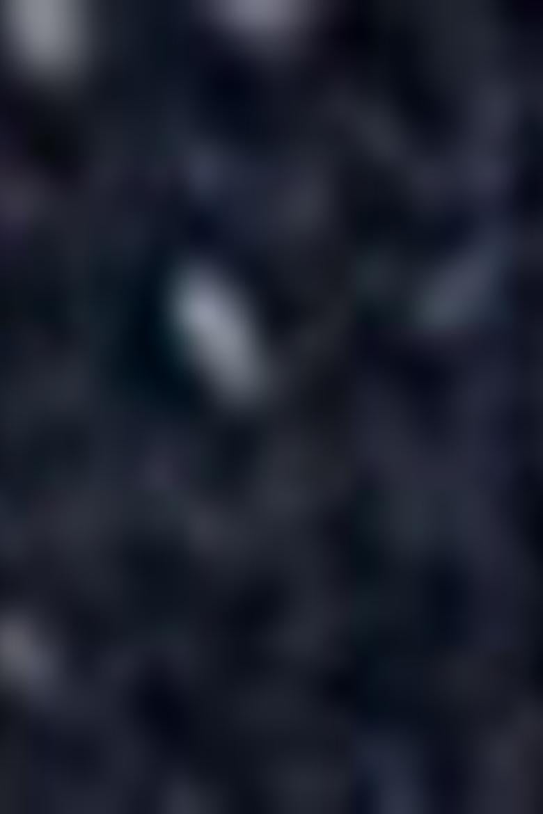 Erkek Çocuk Lacivert Sweatshirt - 50207560006