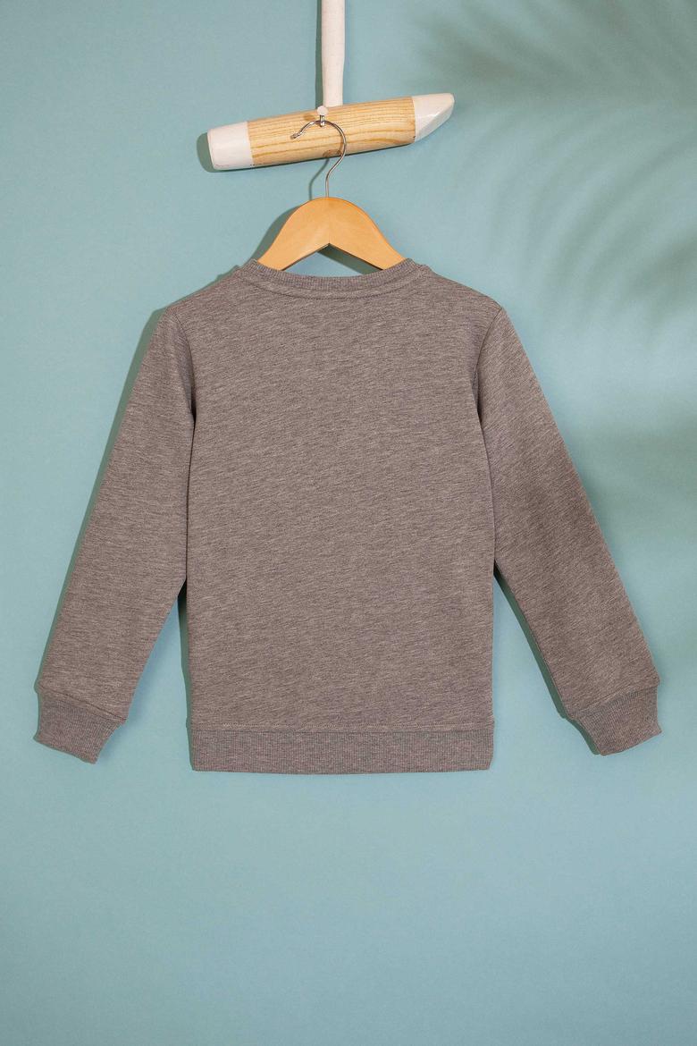 Çocuk Gri Sweatshirt - 50207474002