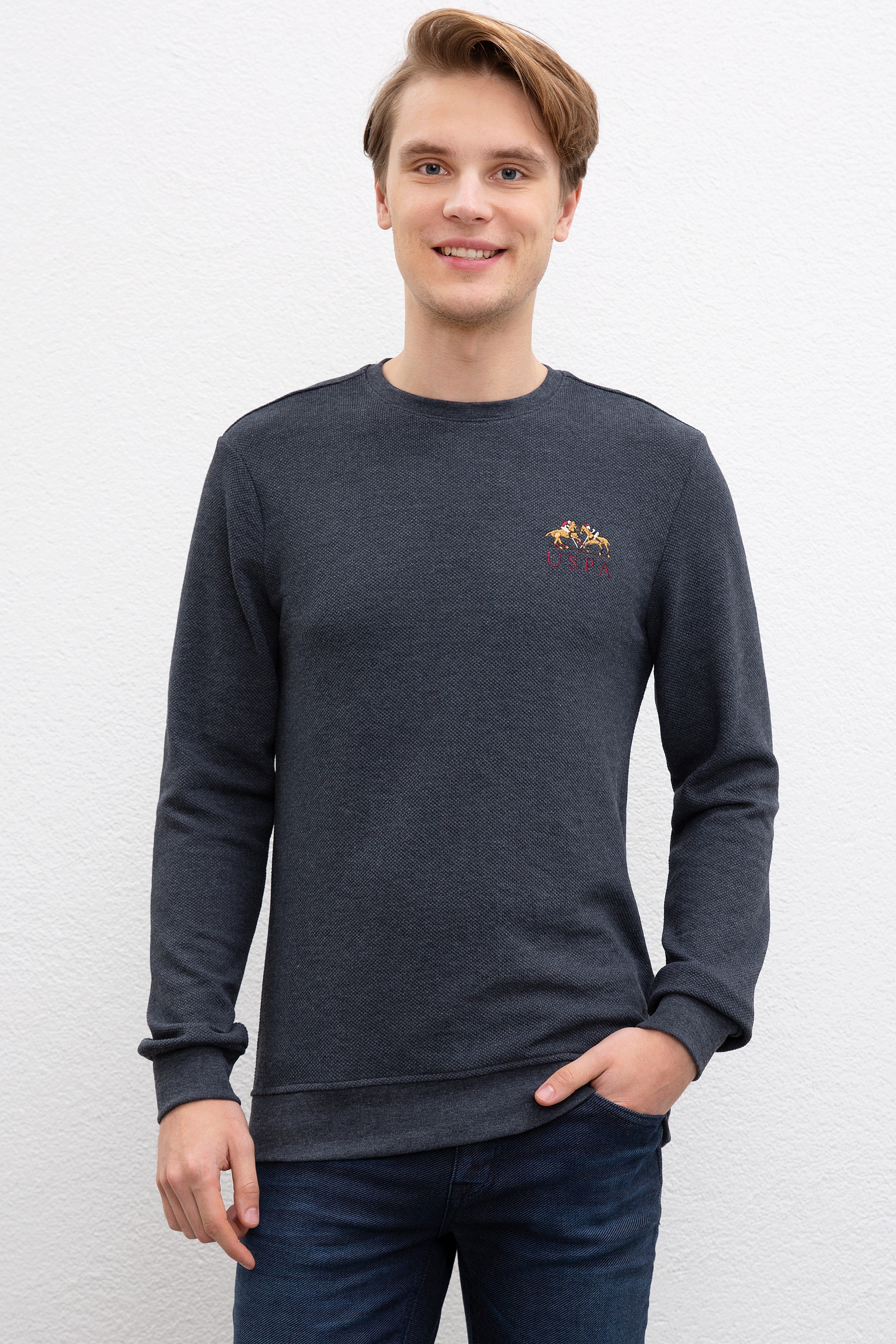 Erkek Lacivert Bisiklet Yaka Sweatshirt - Image 1