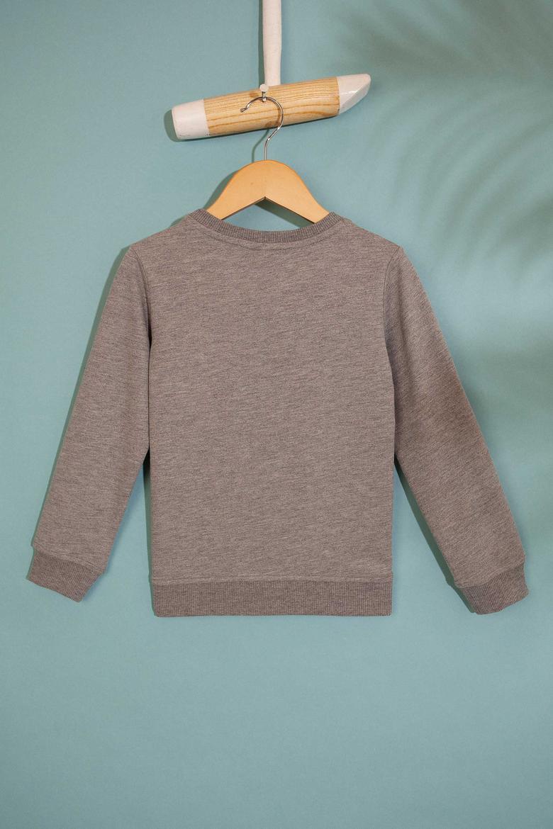 Çocuk Gri Sweatshirt - 50207950013