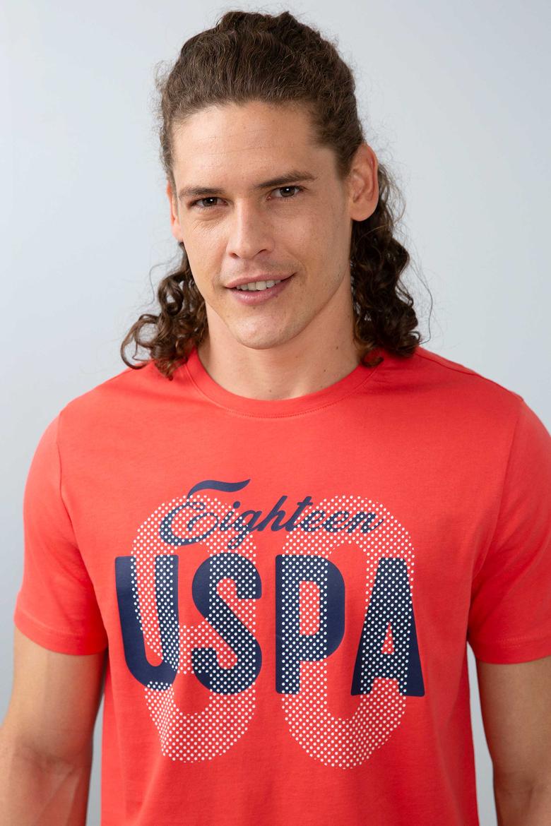 Erkek Nar Çiçeği Bisiklet Yaka T-Shirt - 50200722001