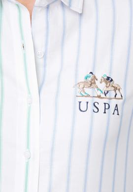 Kadın Yeşil Gömlek Uzunkol - 50199615002