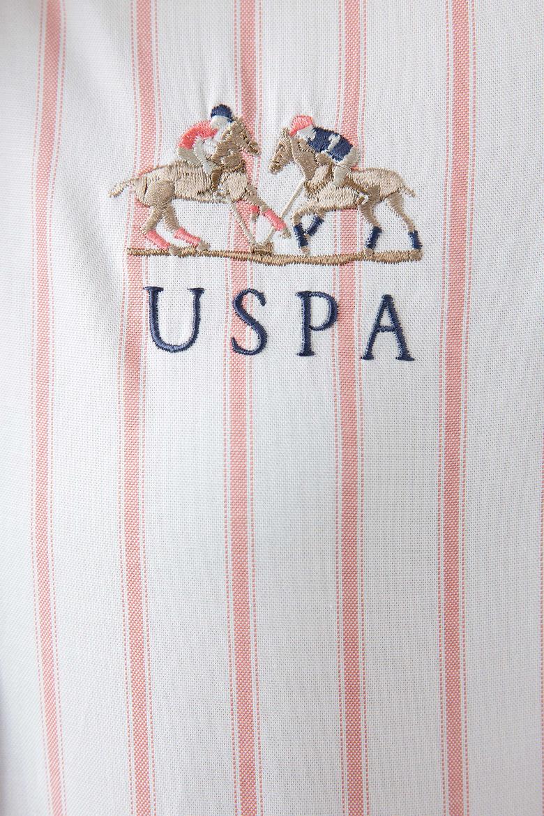 Kadın Pembe Çizgili Gömlek Uzunkol - 50199615010