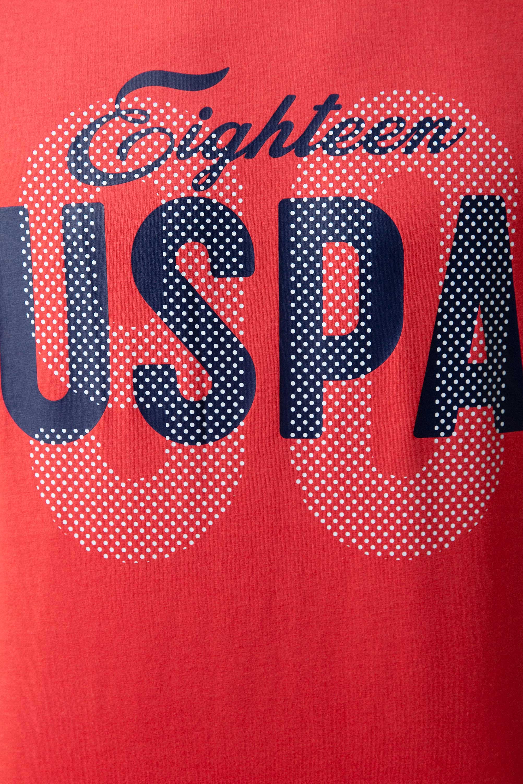 Erkek Nar Çiçeği Bisiklet Yaka T-Shirt - Image 4