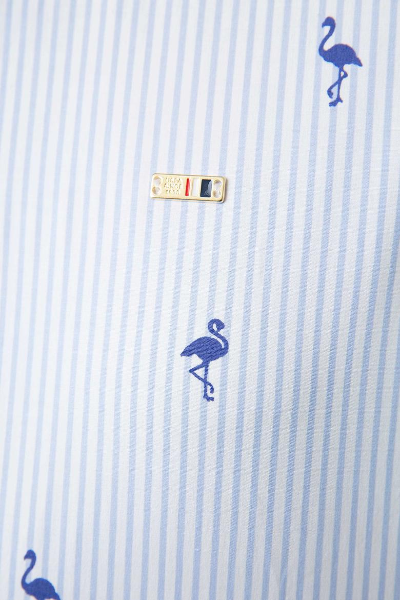 Kadın Mavi Gömlek Uzunkol - 50202394004