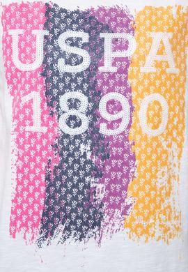 Kadın Pembe Bisiklet Yaka T-Shirt - 50202601001