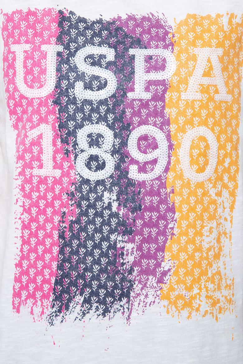 Kadın Pembe Bisiklet Yaka T-Shirt - 50202601001