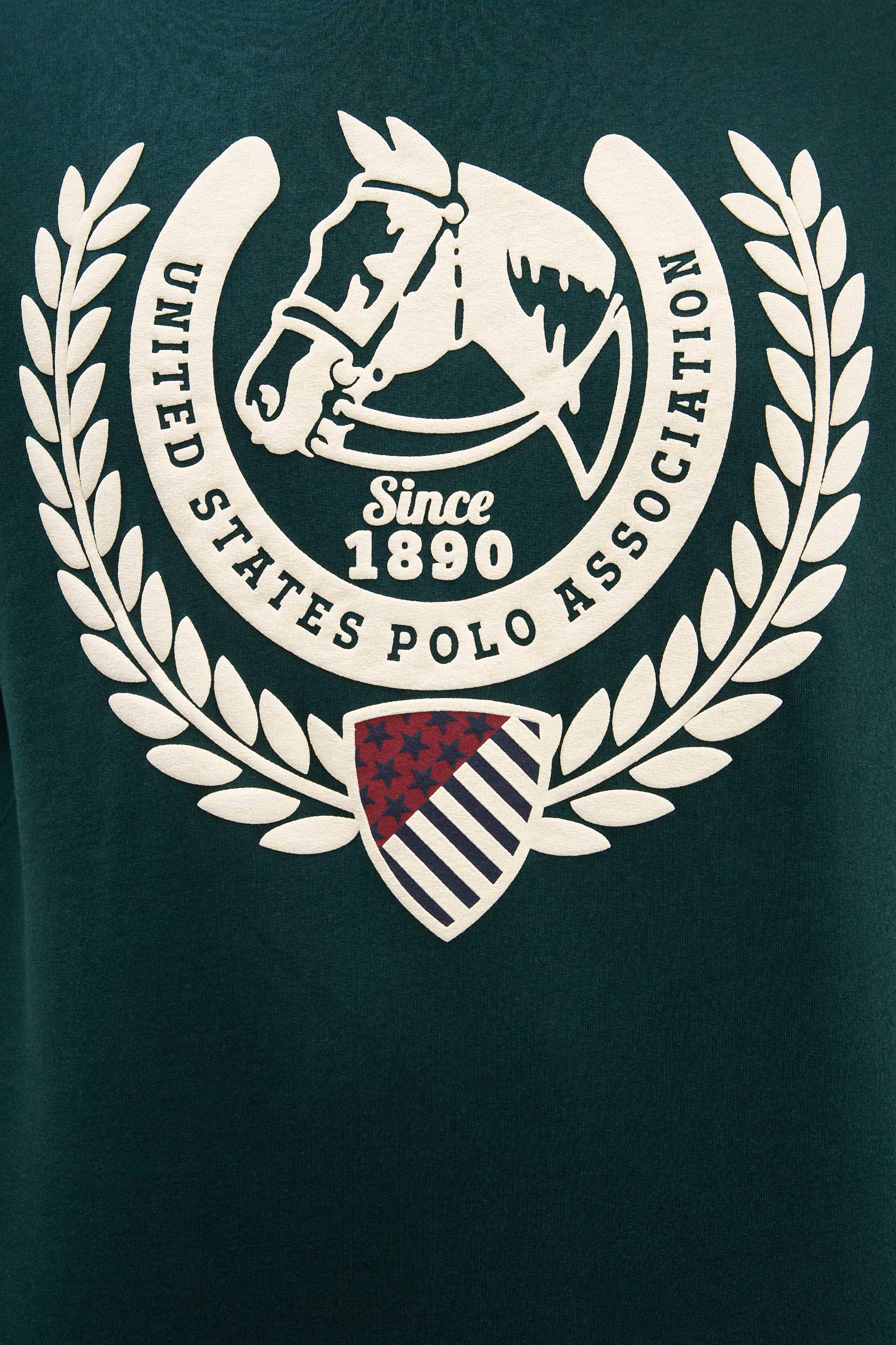 Erkek Koyu Yeşil Bisiklet Yaka Sweatshirt - Image 5