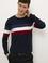 Erkek Lacivert Bisiklet Yaka Triko Kazak