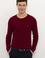 Erkek Bordo Bisiklet Yaka Triko Kazak