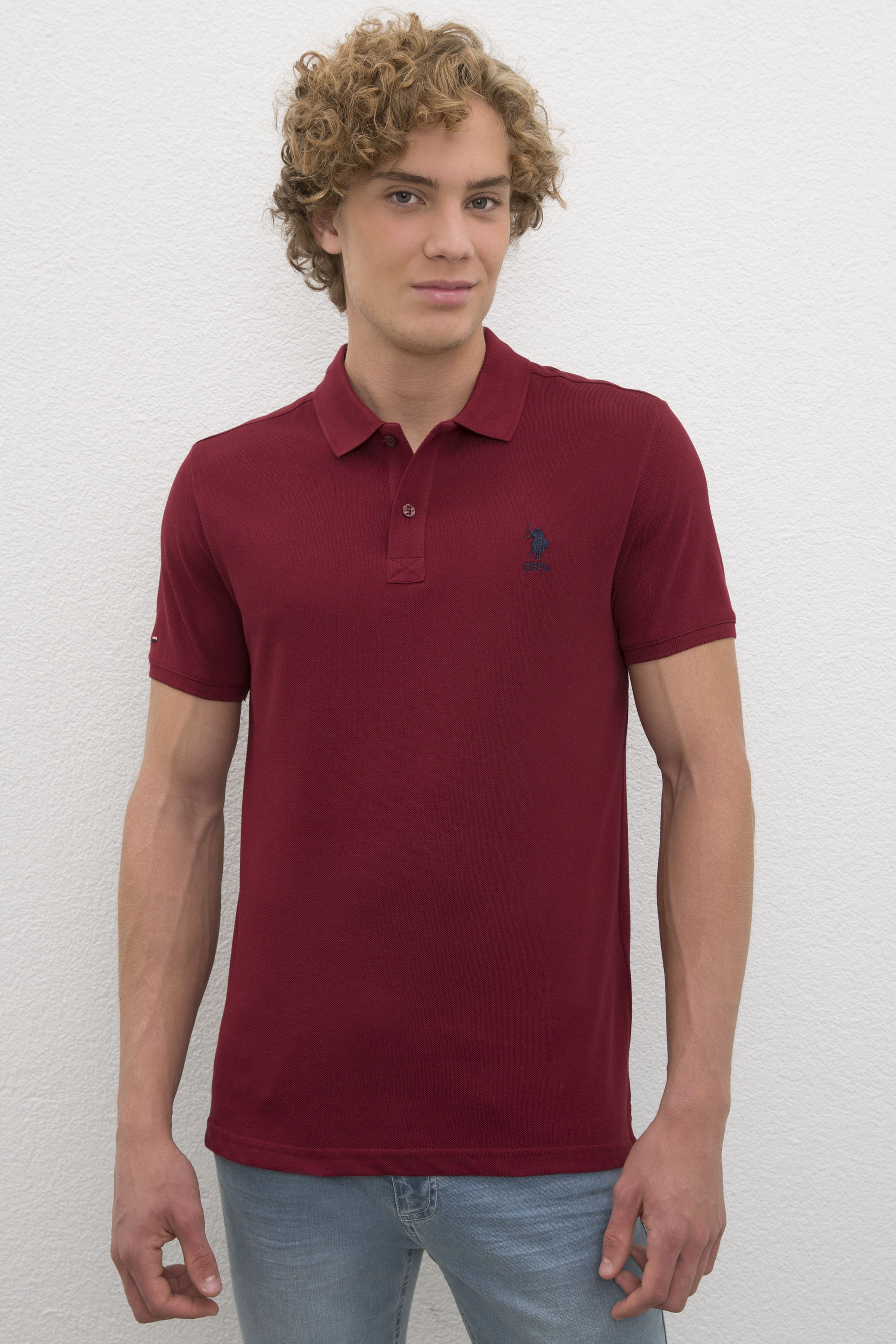 Erkek Plum Basic Polo Yaka Tişört - Image 1