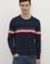 Erkek Lacivert Bisiklet Yaka Triko Kazak