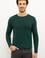 Erkek Koyu Yeşil Bisiklet Yaka Triko Kazak Basic