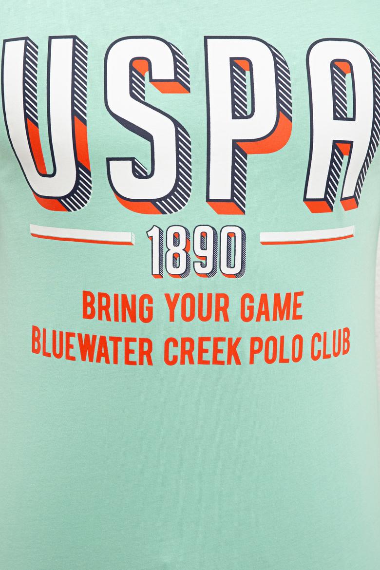 Erkek Mint Yeşili Bisiklet Yaka T-Shirt - 50238042016