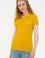 Kadın Sarı Basic Polo Yaka Tişört