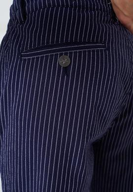 Erkek Çizgili Lacivert Chinos - 50232740003