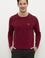 Erkek Bordo Bisiklet Yaka Triko Kazak