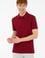 Erkek Bordo Basic Tişört