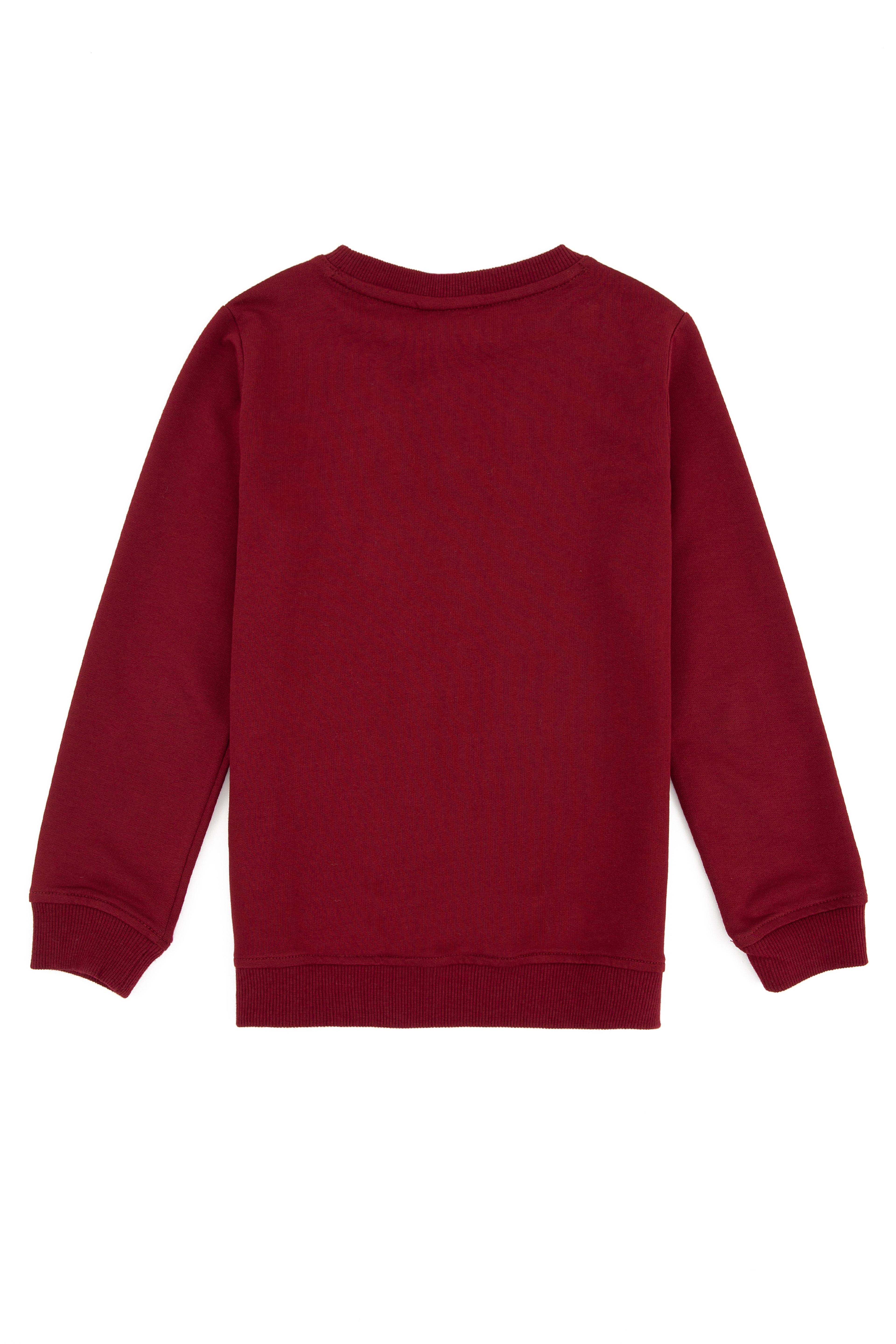 Erkek Çocuk Bordo Basic Sweatshirt - Image 2