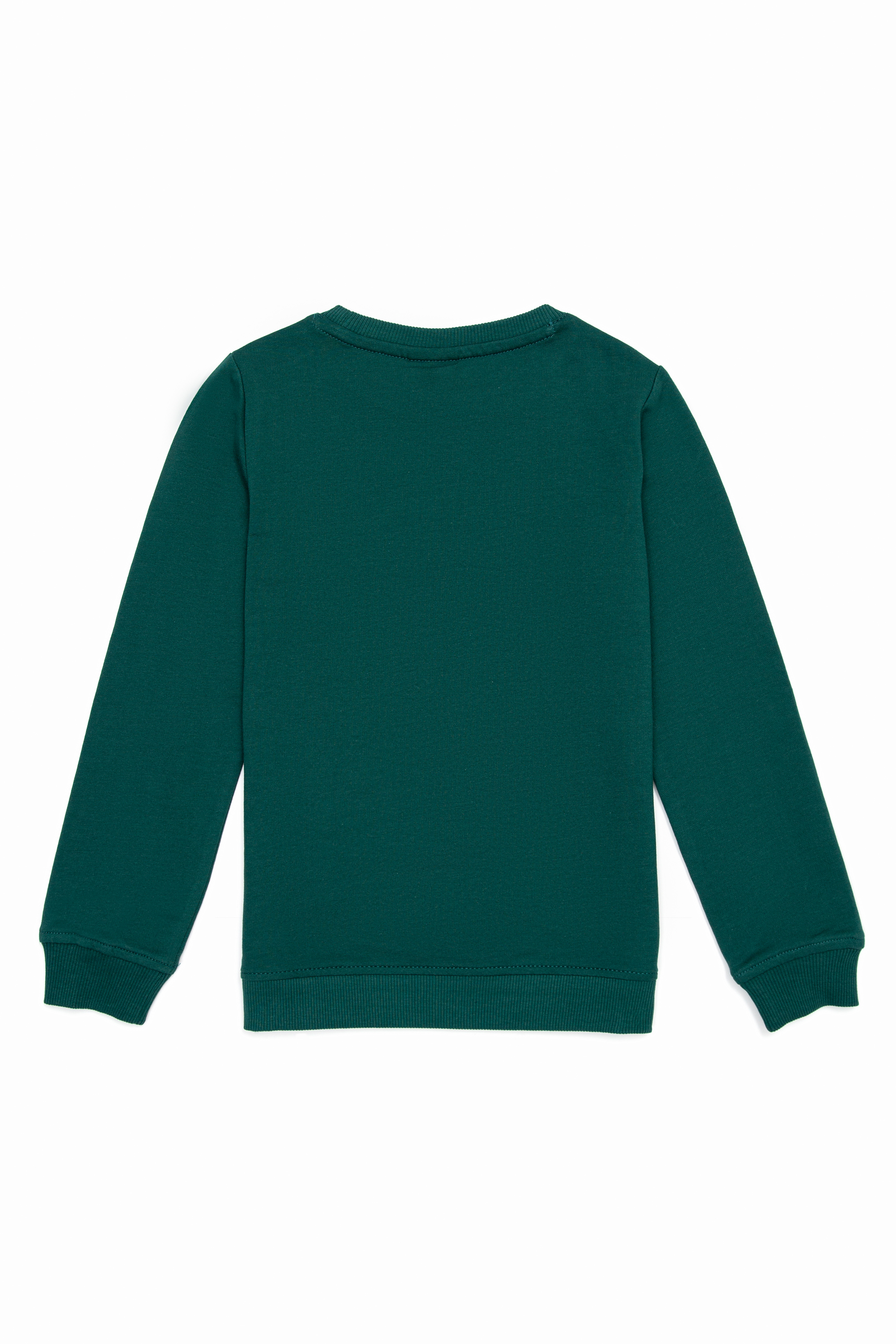 Erkek Çocuk Koyu Yeşil Sweatshirt - Image 2